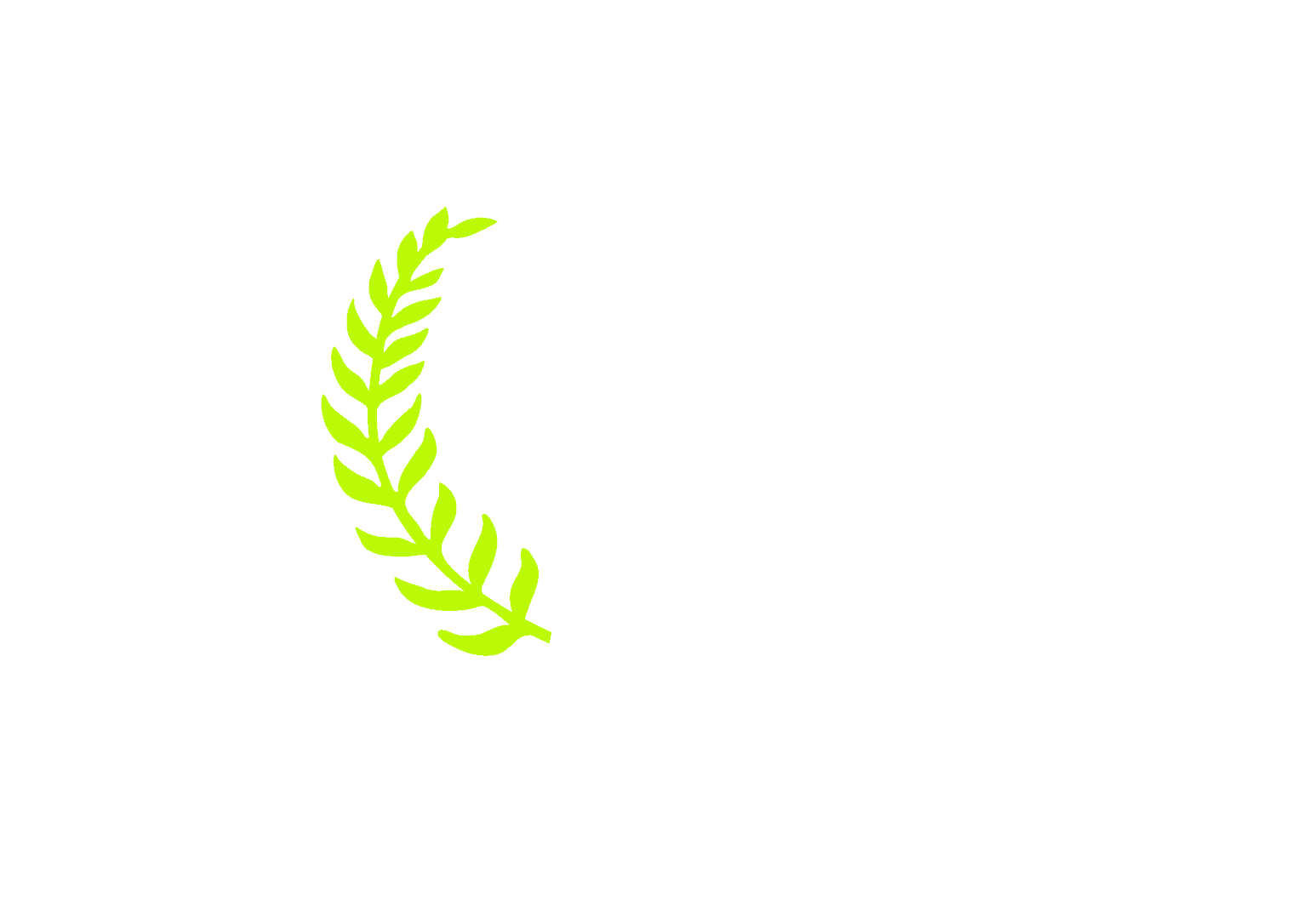 Run Walk Run: Revolutionizing Running Since 1974